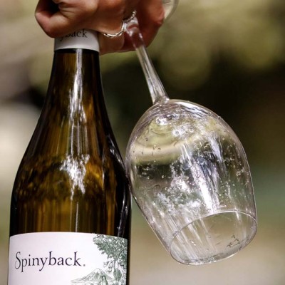 New Spinyback News Page