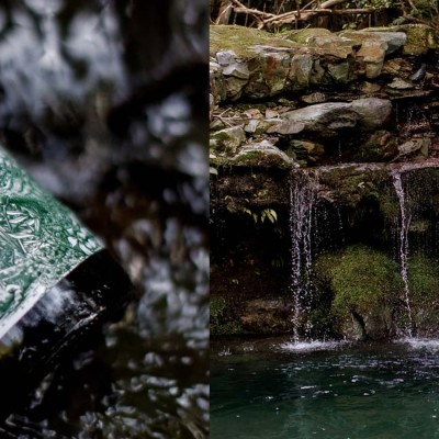 New Spinyback News Page