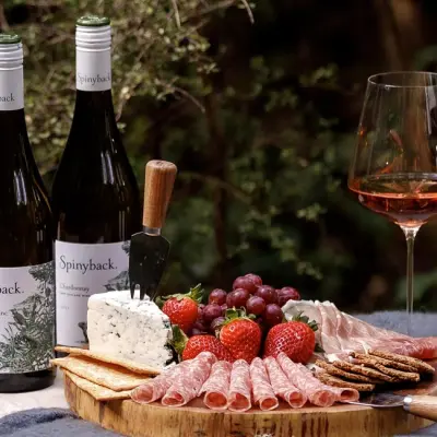 spinyback nz wines v3